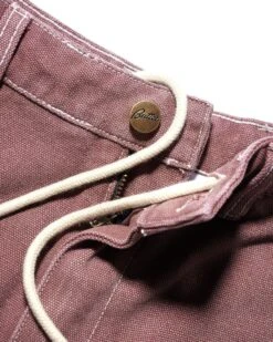 Washed Canvas Double Knee Pants, Brick -Butter Goods Elegant Shop DSC08309